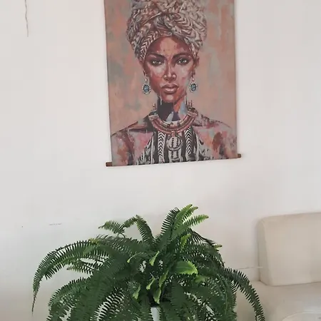 Zora By Tm
